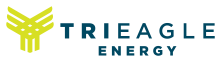 trieagle_logo